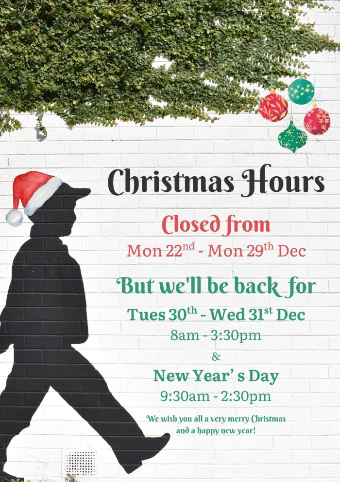 Little Henri Christmas Times